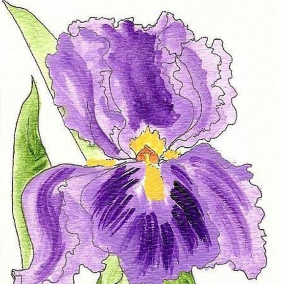 Meet your Posher, Iris - Picture 1 of 1